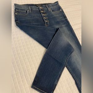 Lucky Brand Bridgette High Rise Skinny Jeans; Size 10